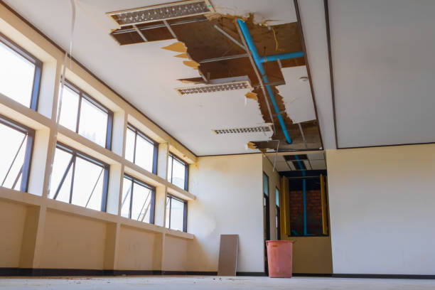 Best Basement water damage restoration  in Lebanon, OH
