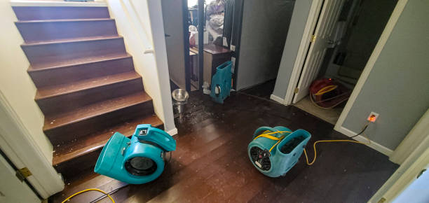  Lebanon, OH Water damage restoration Pros