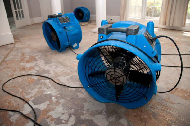 Sewage cleanup and water damage restoration in Lebanon, OH
