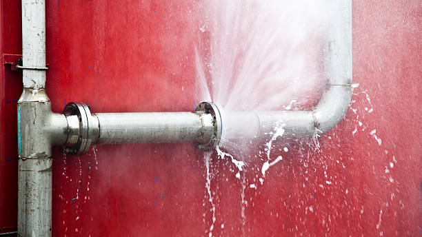 Best Water damage mitigation services  in Lebanon, OH